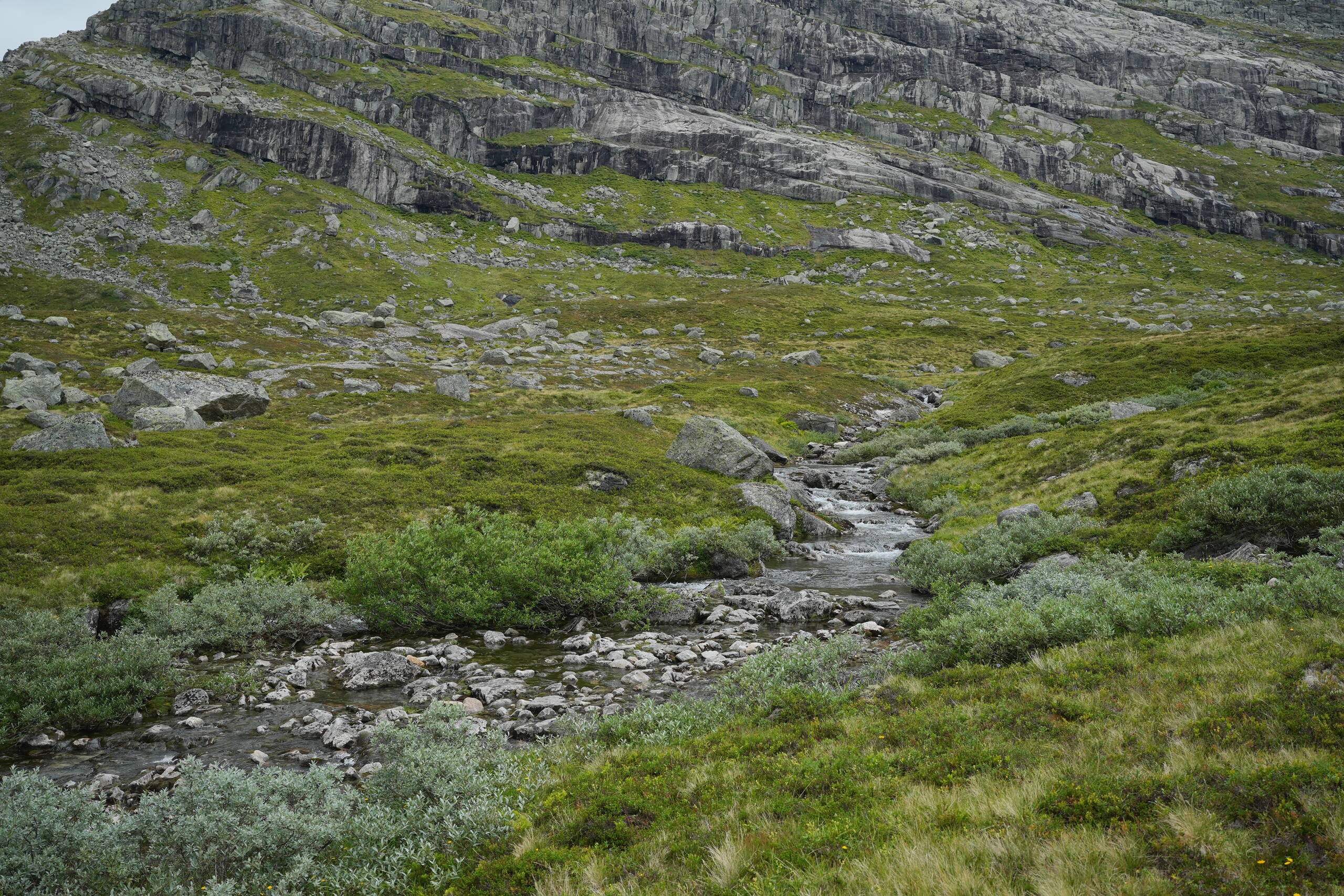 An image of stream 2.